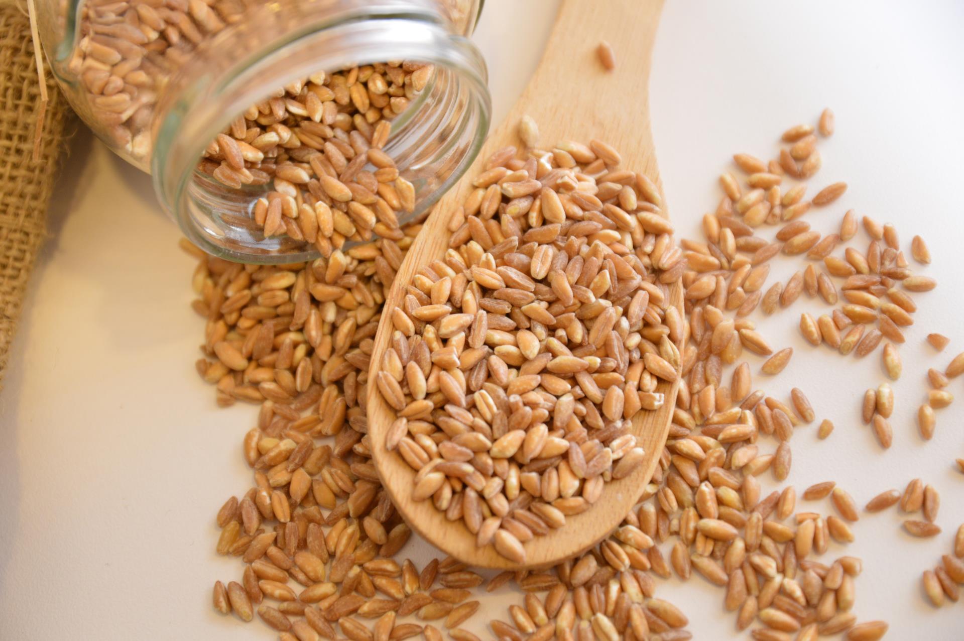 Animation en magasin : où trouve-t-on du gluten ? Animation en magasin : où trouve-t-on du gluten ?