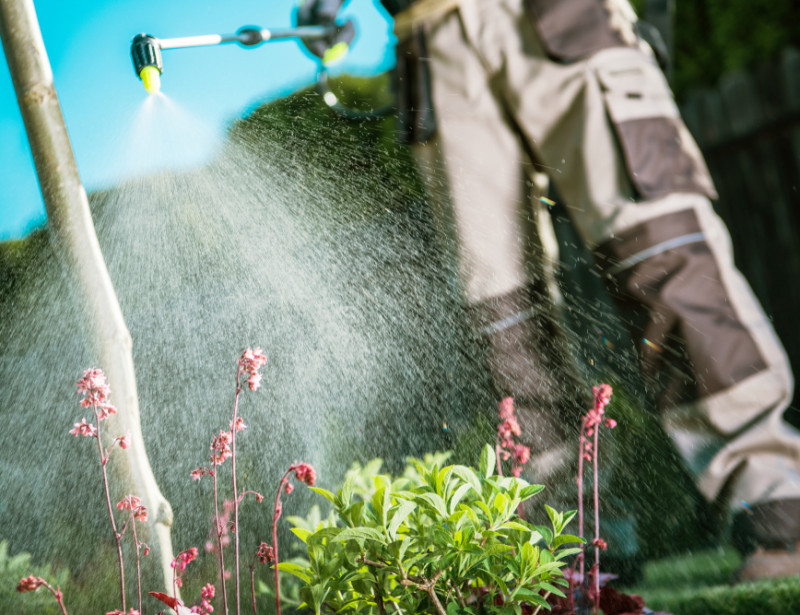 Terminée, la vente de pesticides chimiques aux jardiniers amateurs Terminée, la vente de pesticides chimiques aux jardiniers amateurs